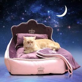 Luxury Cushion Princess Pet Bed For Dog Or Cat
